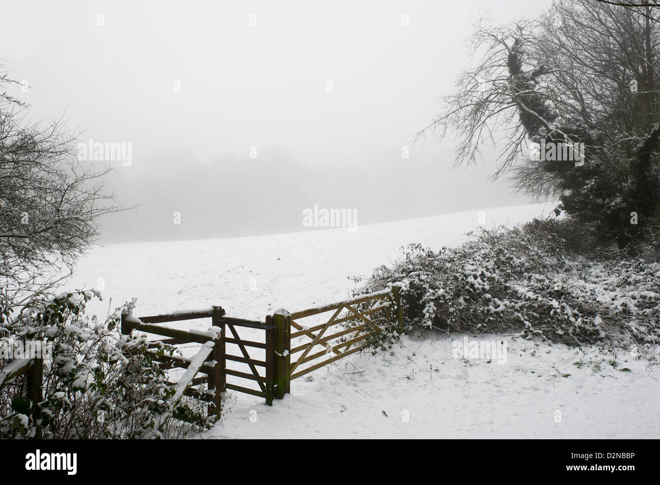 Il congelamento della nebbia e neve in Essex Foto Stock