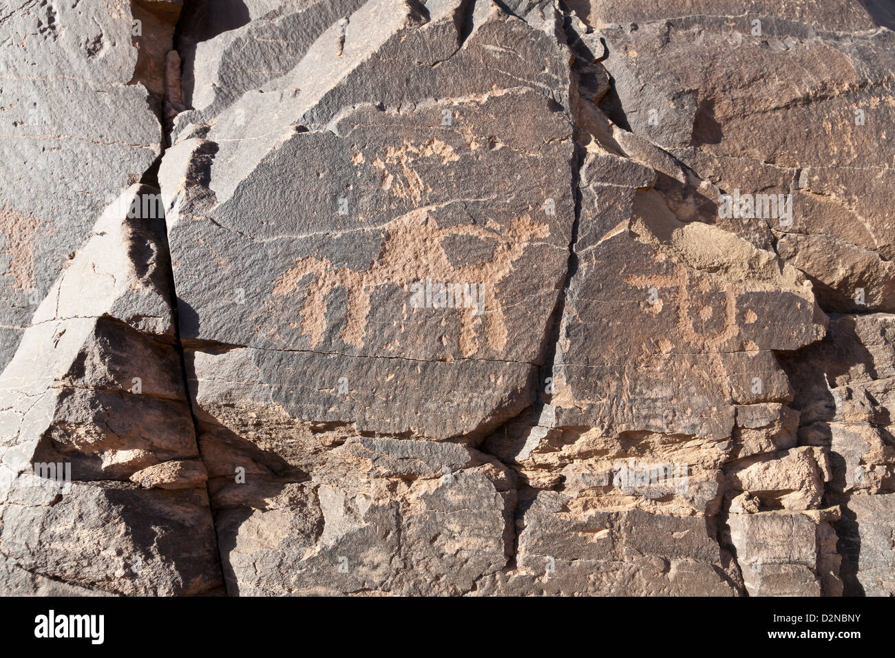 Arte rupestre in corrispondenza del sito di Foum Chenna, Oued Tasminaret Valley, Tinzouline, Valle di Draa, Marocco, Africa del Nord Foto Stock