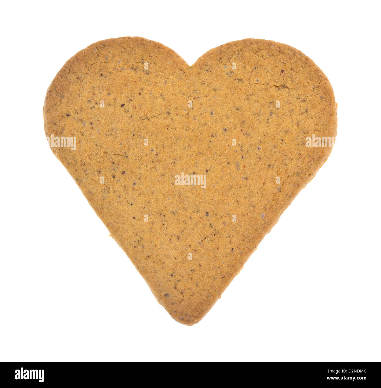 Un unico a forma di cuore ad ginger snap cookie su uno sfondo bianco. Foto Stock