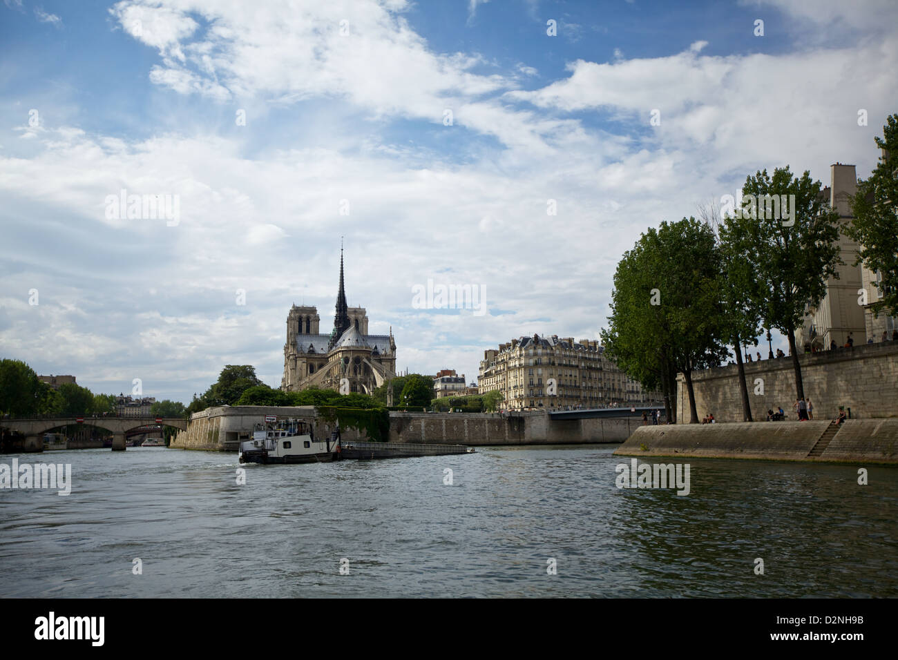 Una vista pittoresca della Cattedrale di Notre Dame e della Senna, catturando il fascino storico e la bellezza iconica di Parigi, Francia Foto Stock