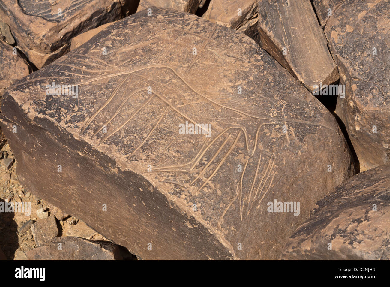 Sito d'arte rupestre preistorica Ait Ouazik, Marocco, Nord Africa Foto Stock