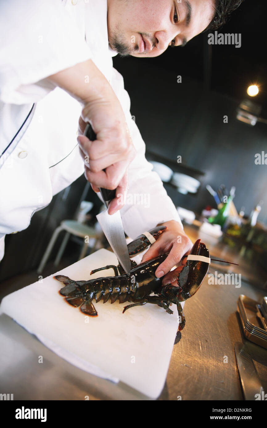 Chef di cucina Foto Stock
