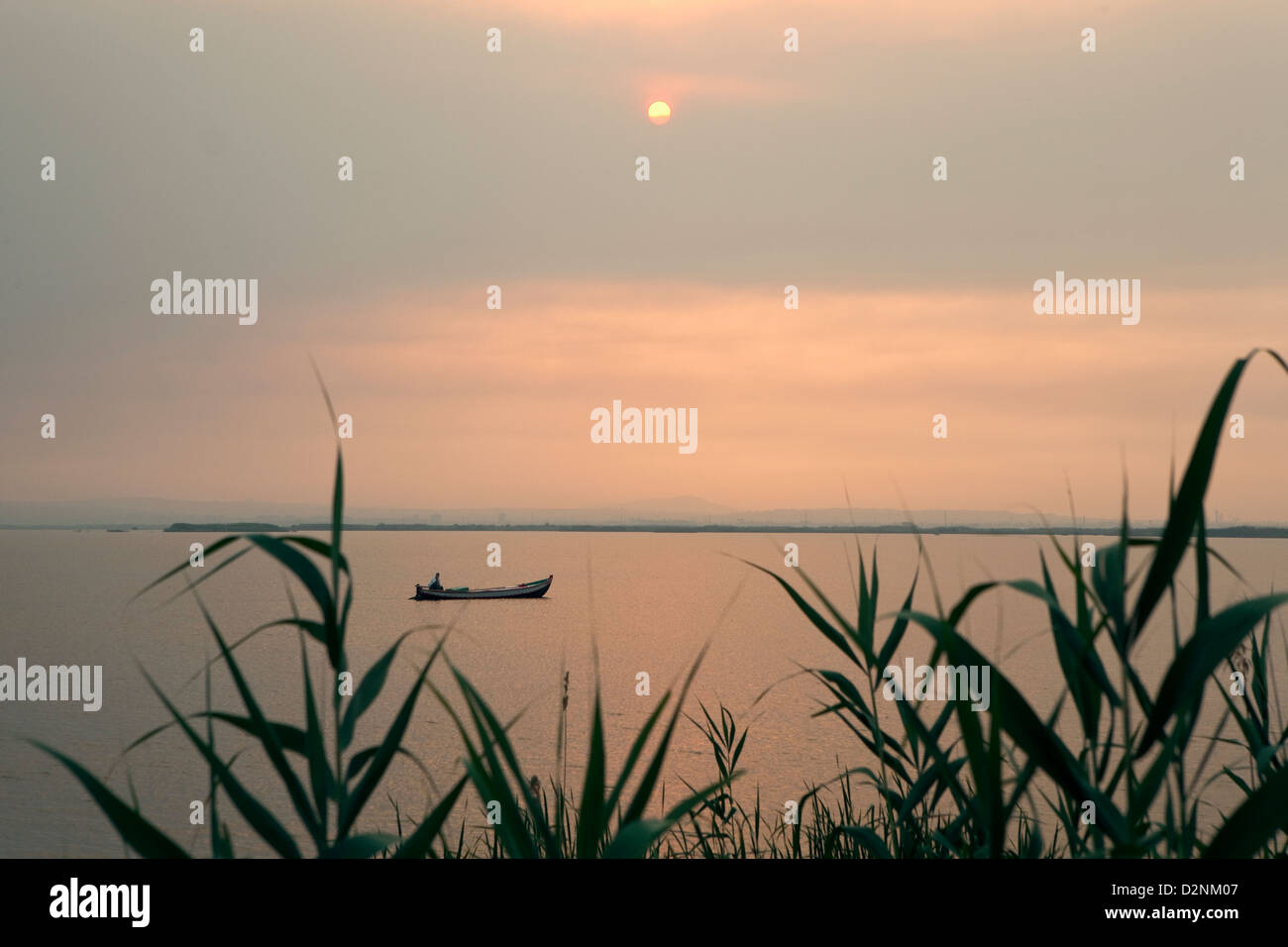 Pescatore sulla sua barca in La Albufera Parco Nazionale al tramonto, a Valencia, in Spagna. Foto Stock