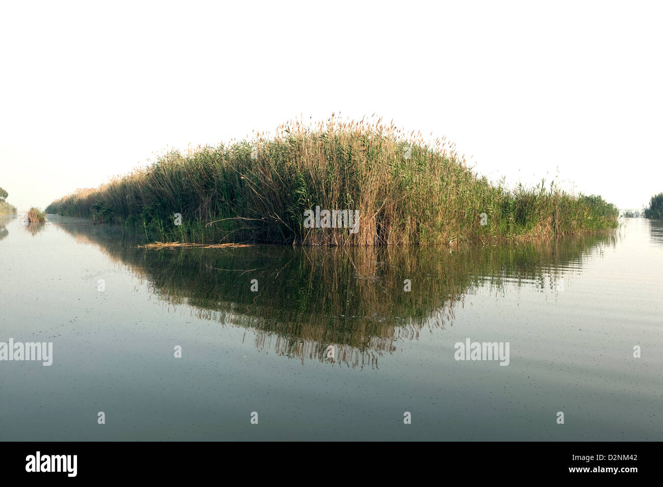 La Albufera National Park, a Valencia, in Spagna. Foto Stock