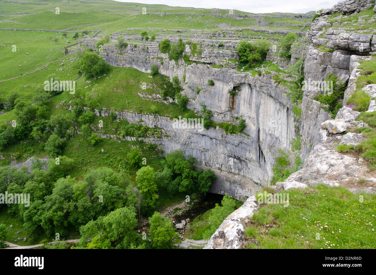 Scogliere calcaree a Malham Cove, nello Yorkshire, Inghilterra Foto Stock