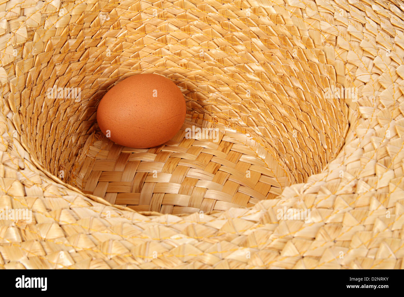 Uovo di gallina in strawy hat Foto Stock