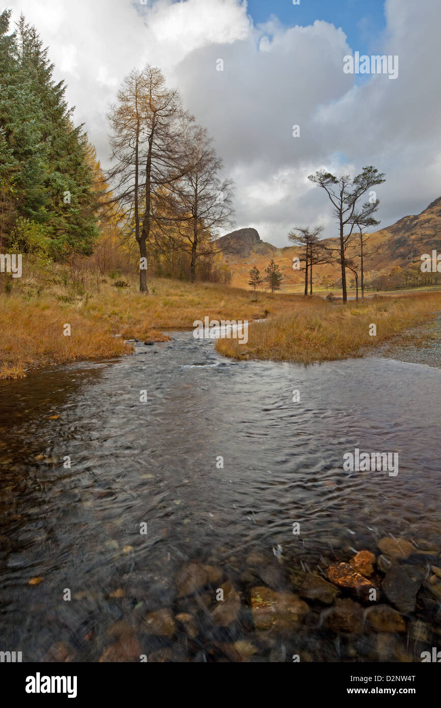 Bleamoss beck come si inizia il suo viaggio da Blea tarn nel distretto del lago, Cumbria, Inghilterra Foto Stock