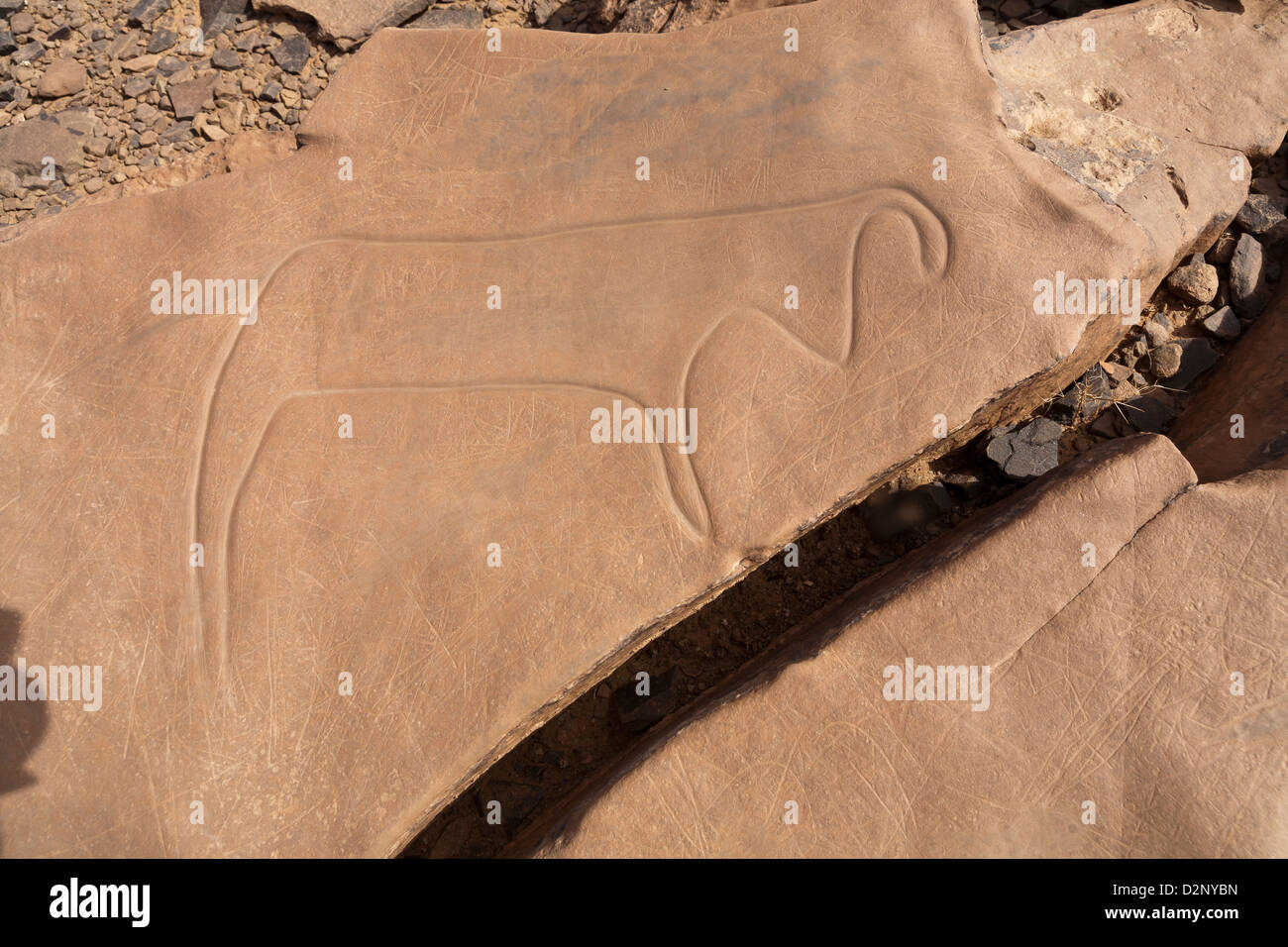 Sito d'arte rupestre preistorica Ait Ouazik, Marocco, Nord Africa Foto Stock