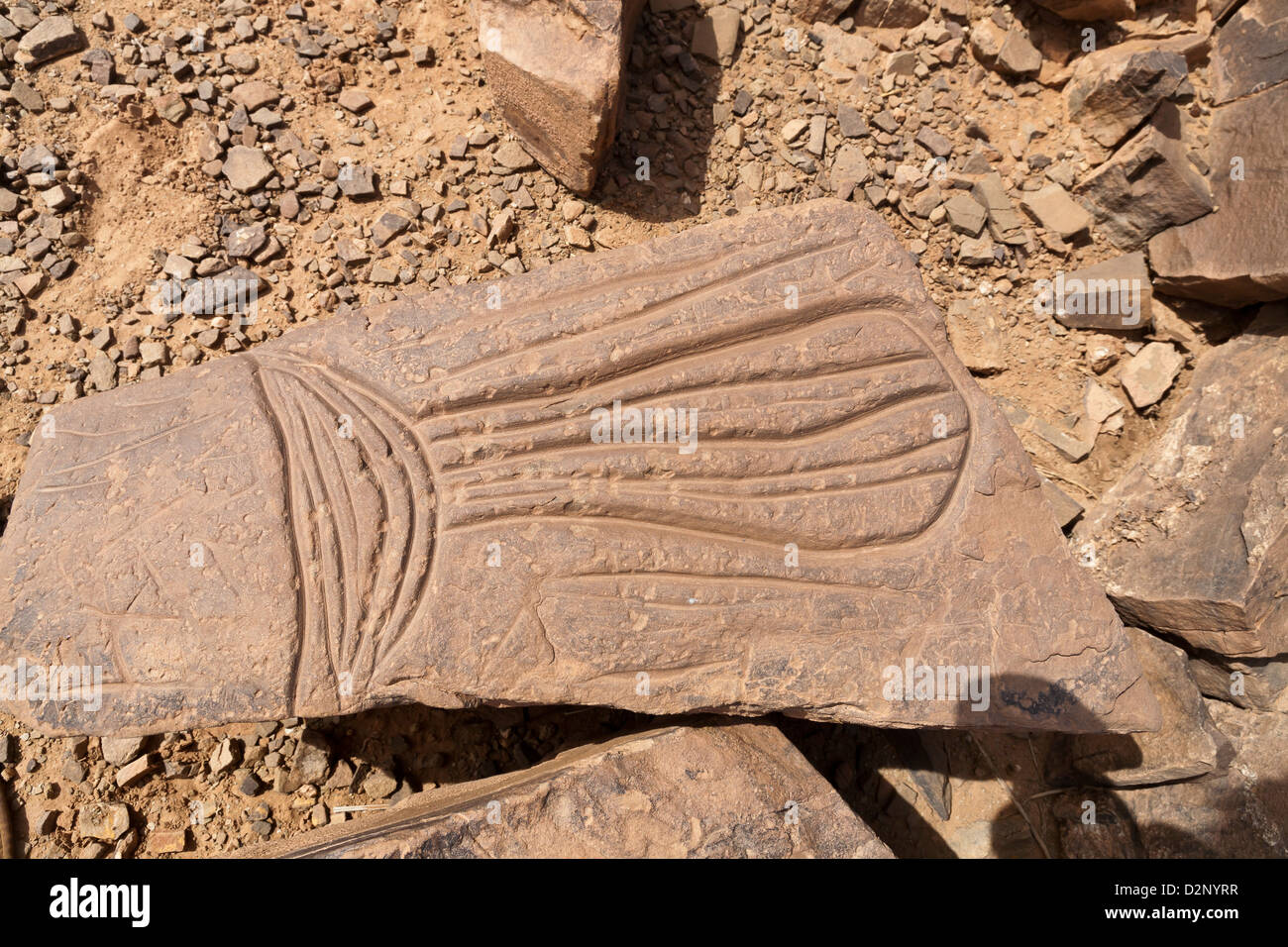 Sito d'arte rupestre preistorica Ait Ouazik, Marocco, Nord Africa Foto Stock