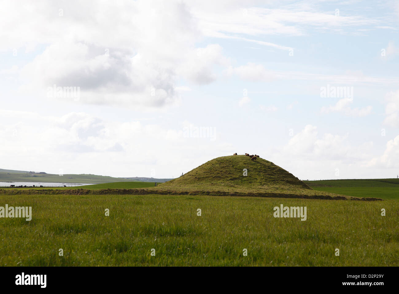 Maeshowe Cairn è un neolitico camera di sepoltura costruito 5000 anni fa. Foto Stock