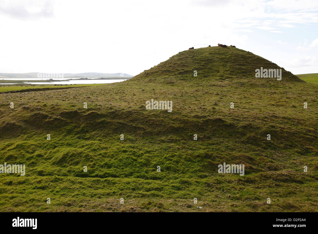 Maeshowe Cairn è un neolitico camera di sepoltura costruito 5000 anni fa. Foto Stock