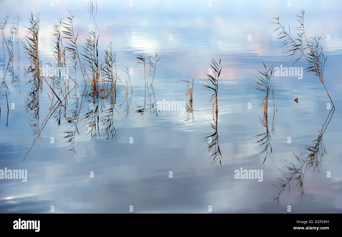 Ancora acqua riflessioni sul Lake Bonney nel Riverland del Sud Australia vicino Barmera Foto Stock