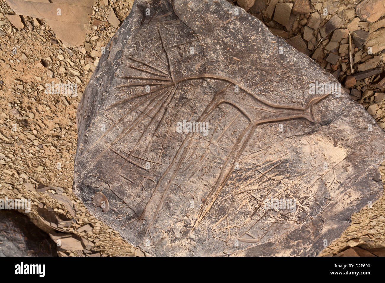 Sito d'arte rupestre preistorica Ait Ouazik, Marocco, Nord Africa Foto Stock