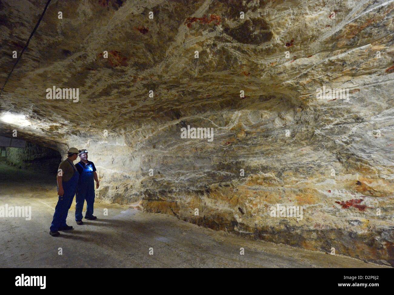 Un carrello minerario aziona attraverso la metropolitana adits durante la cerimonia di fondazione della nuova 'Deutschen Innovationszentrums unter Tage' (lit. German Innovation Center sotterraneo) nel cloruro di potassio in Bleicherode, Germania, 30 gennaio 2013. La struttura prevede una zona di prova per prodotti tessili industriali e strutture di ricerca per i materiali che vengono applicati a macchine leggere. Foto: Martin Schutt Foto Stock