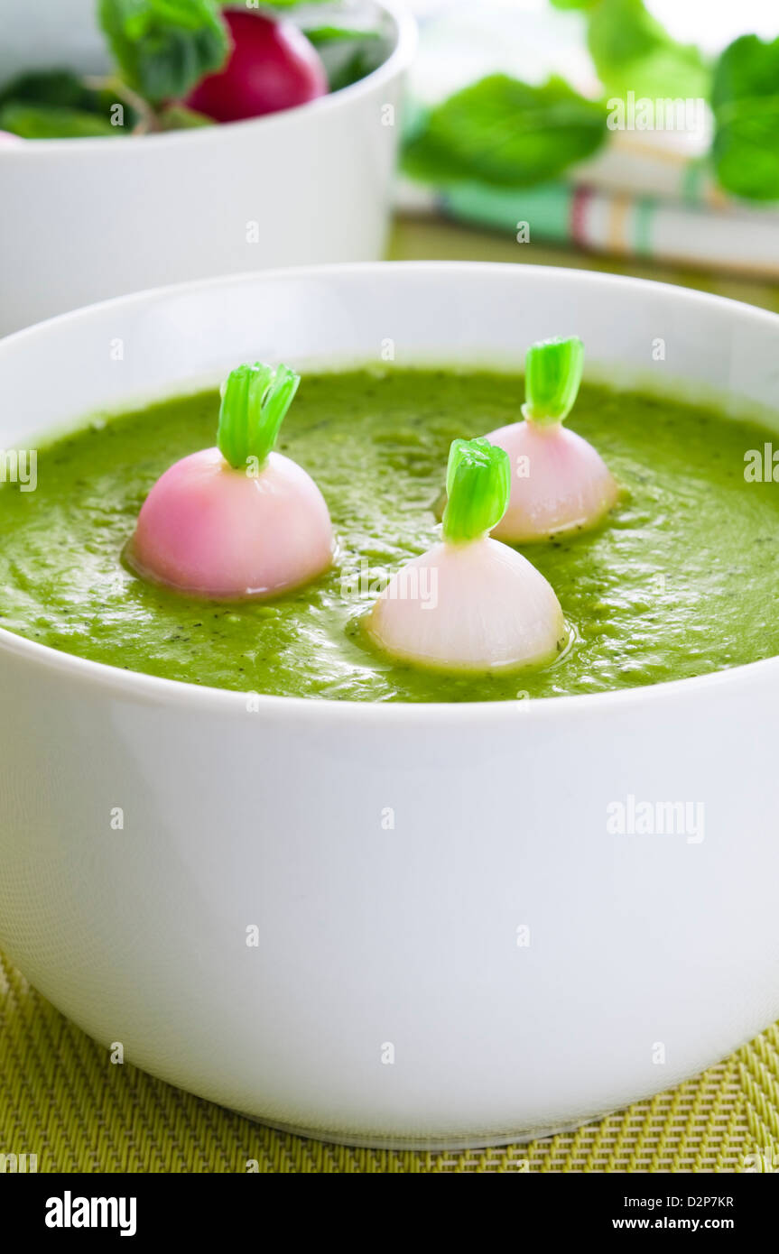 Fresca zuppa di verdure con pisello verde e ravanello Foto Stock