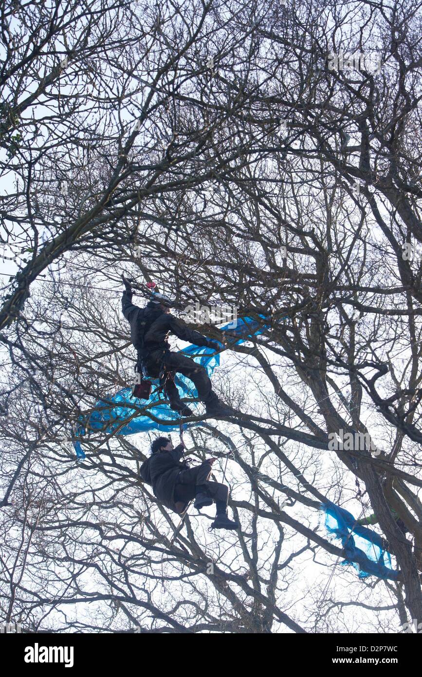 Lara un fo gli ultimi manifestanti a essere rimossi dagli alberi presso il laghetto decoy Combe Haven . Bexhill - Hastings Bypass. Vi è un grande prescence di sicurezza - circa un centinaio di polizia e si voltò e sicurezza . 15 persone rimangono in alberi East Sussex countly consiglio spingendo per la strada per essere costruito ha rifiutato di consentire la fornitura di cibo e medicine in alberi. La struttura ad albero manifestanti sat 3 notti di gales e pioggia Foto Stock