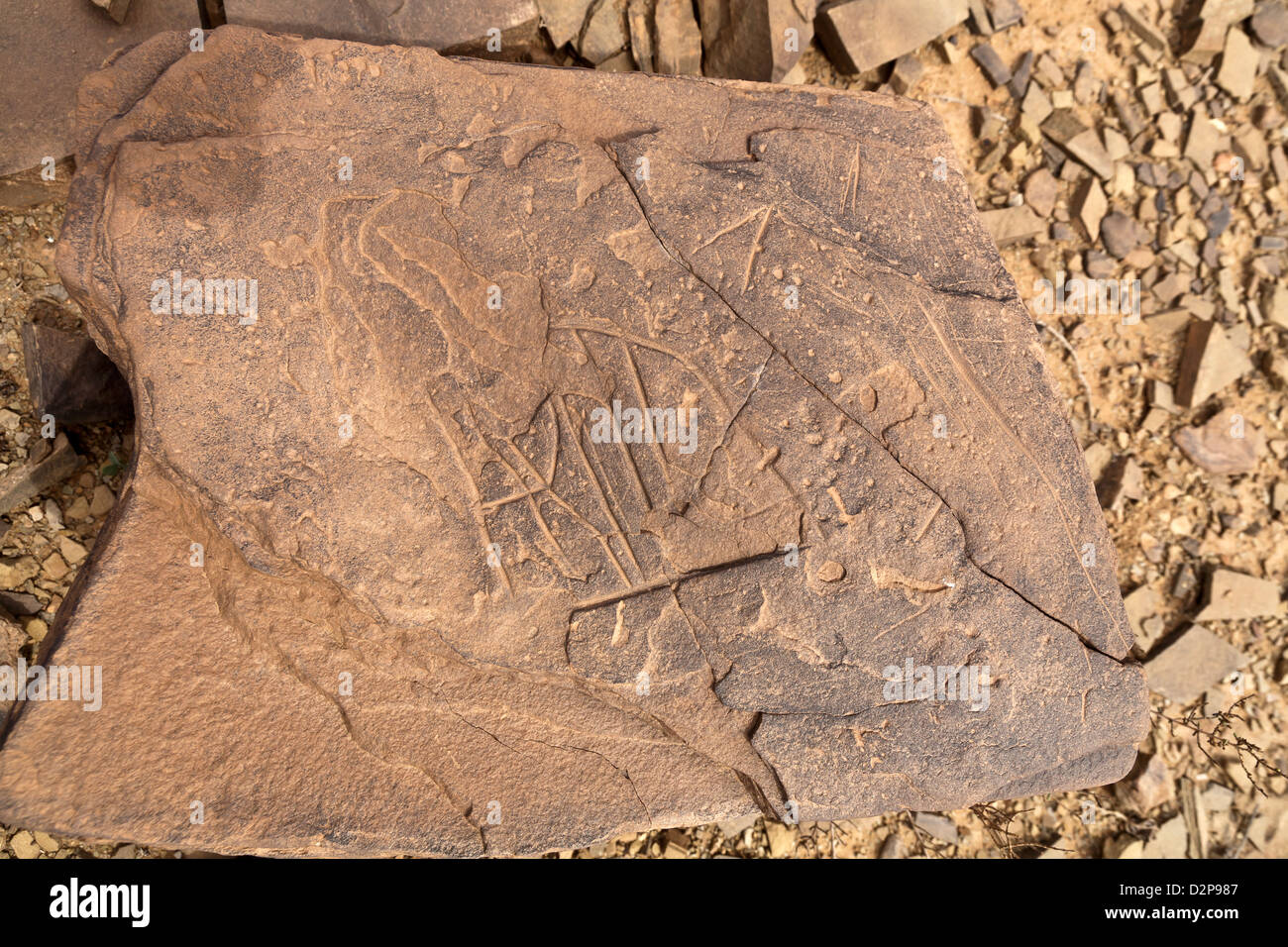 Sito d'arte rupestre preistorica Ait Ouazik, Marocco, Nord Africa Foto Stock