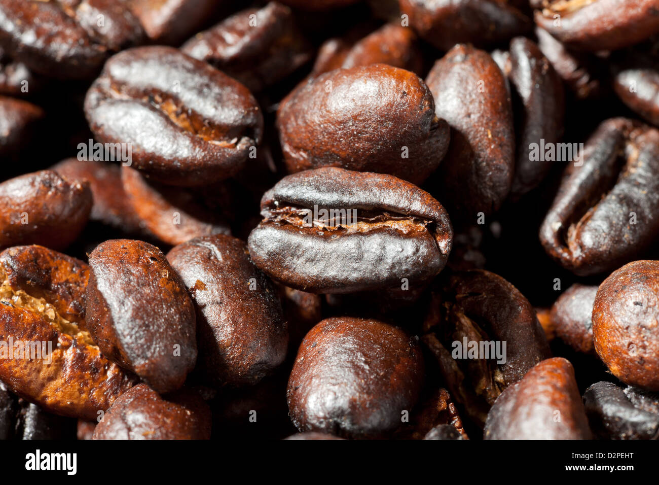 Berlino, Germania, handgeroestete chicchi di Arabica Foto Stock