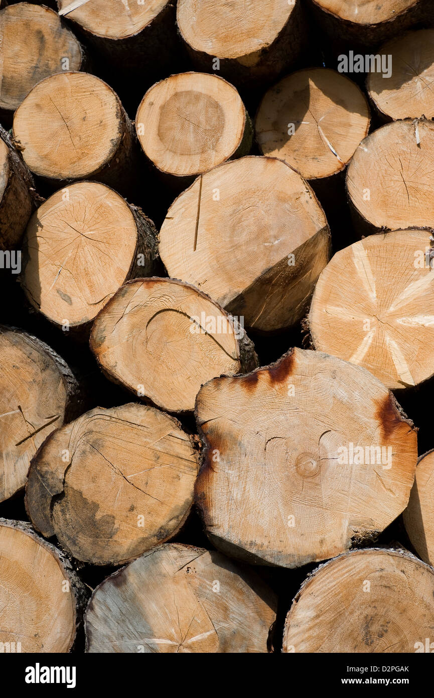 Heitersheim, Germania accatastati tronchi di alberi Foto Stock