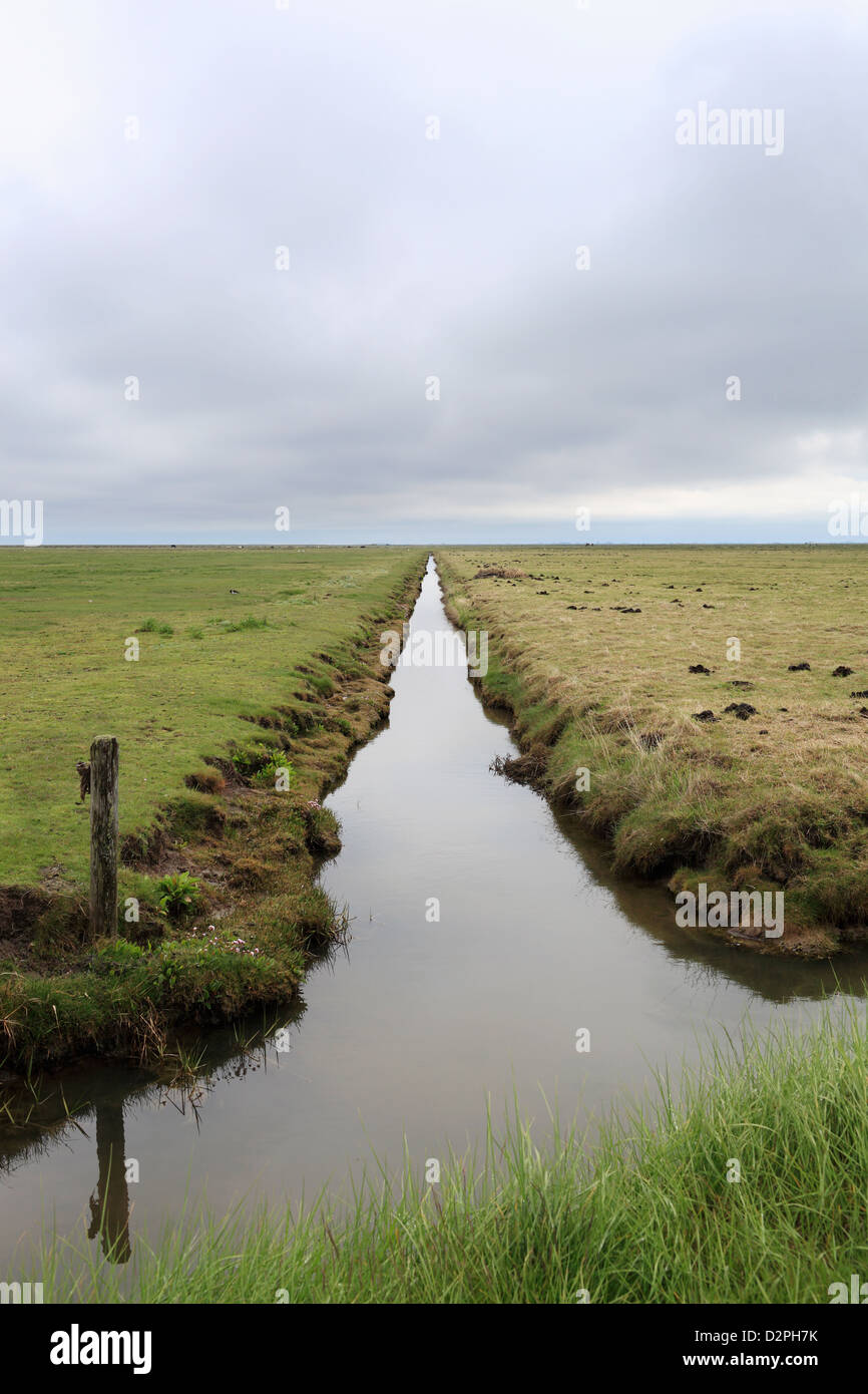 Hallig Hooge, Germania, canale tra pascoli Foto Stock