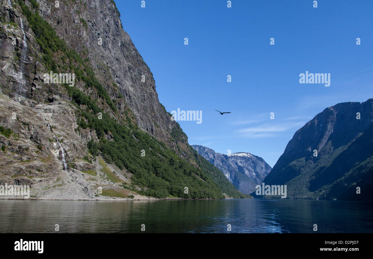 Montagne lungo il Naerøyfjord, tra Gudvangen e Flåm Norvegia. Foto Stock