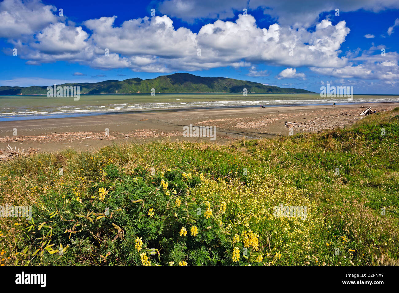 Raumati South beach e Kapiti Island, la Costa di Kapiti, Isola del nord, Nuova Zelanda. Foto Stock