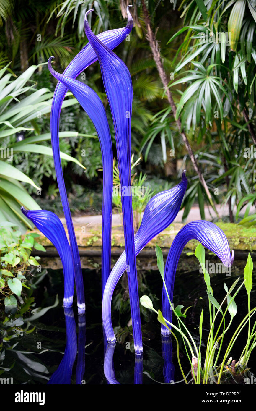 Chihuly sculture in vetro in un stagno. Fairchild giardino botanico. Coral Gables, Florida, Stati Uniti d'America. Foto Stock