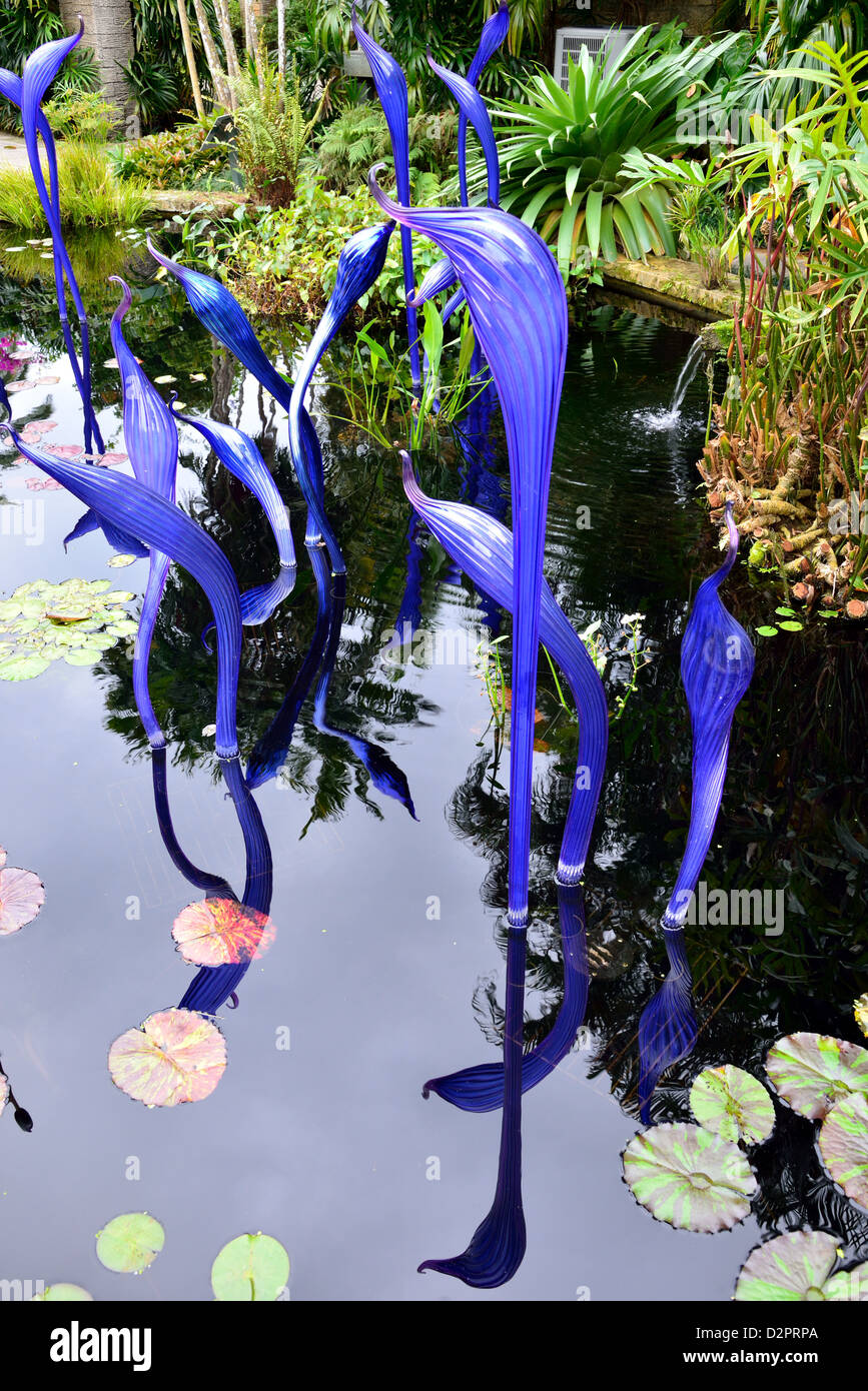 Chihuly sculture in vetro in un stagno. Fairchild giardino botanico. Coral Gables, Florida, Stati Uniti d'America. Foto Stock
