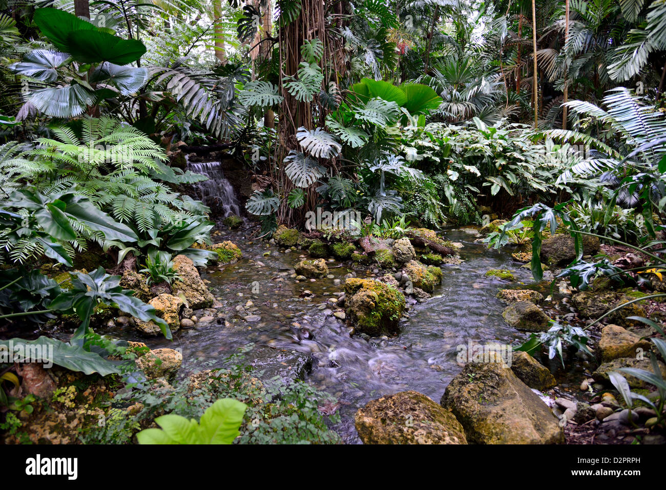 Un giardino tropicale e creek. Fairchild giardino botanico. Coral Gables, Florida, Stati Uniti d'America. Foto Stock