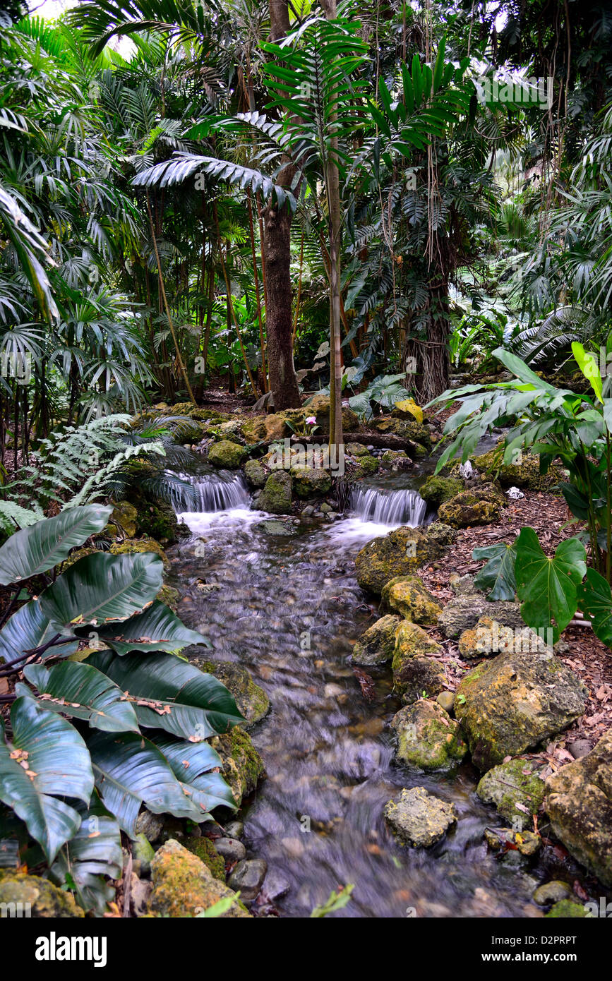 Un giardino tropicale e creek. Fairchild Giardino Botanico. Coral Gables, Florida, Stati Uniti d'America. Foto Stock