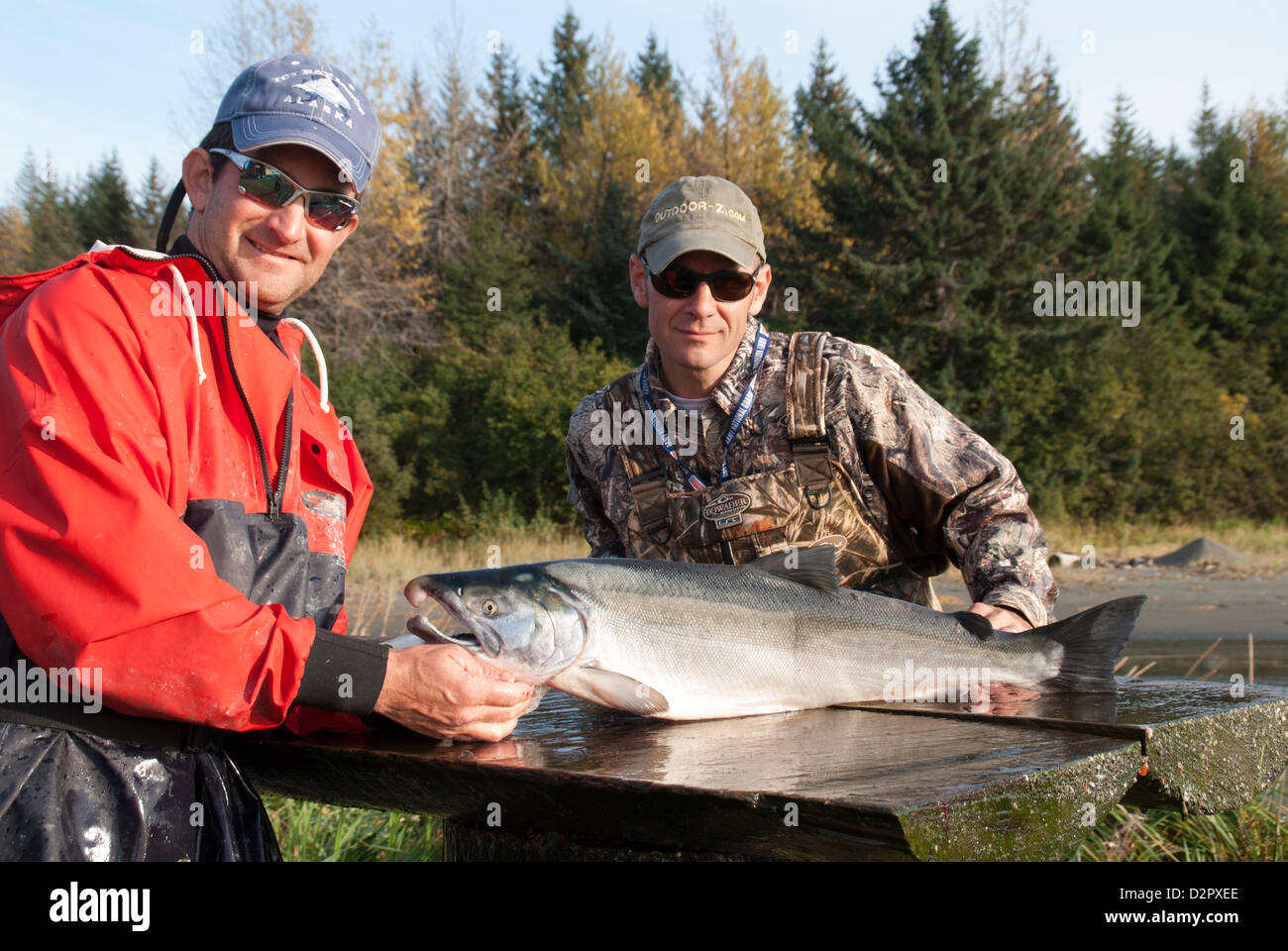 Guida Rob Cannon e suo cugino visualizzare un argento (Coho) salmone prima di sfilettatura i pesci pescati. Foto Stock