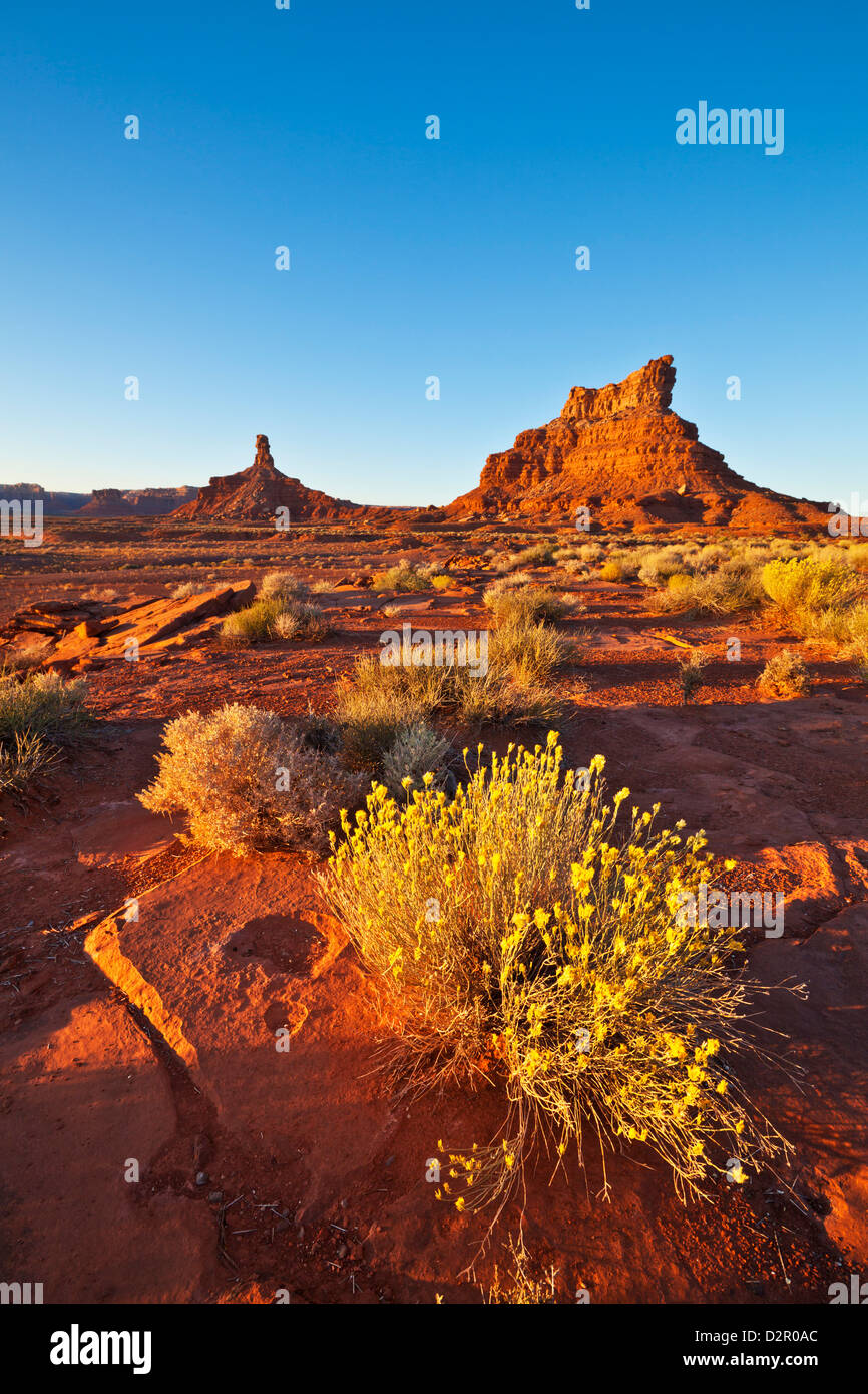 Udienza Hen Butte Gallo e Butte al tramonto, la Valle degli Dèi, Utah, Stati Uniti d'America, America del Nord Foto Stock