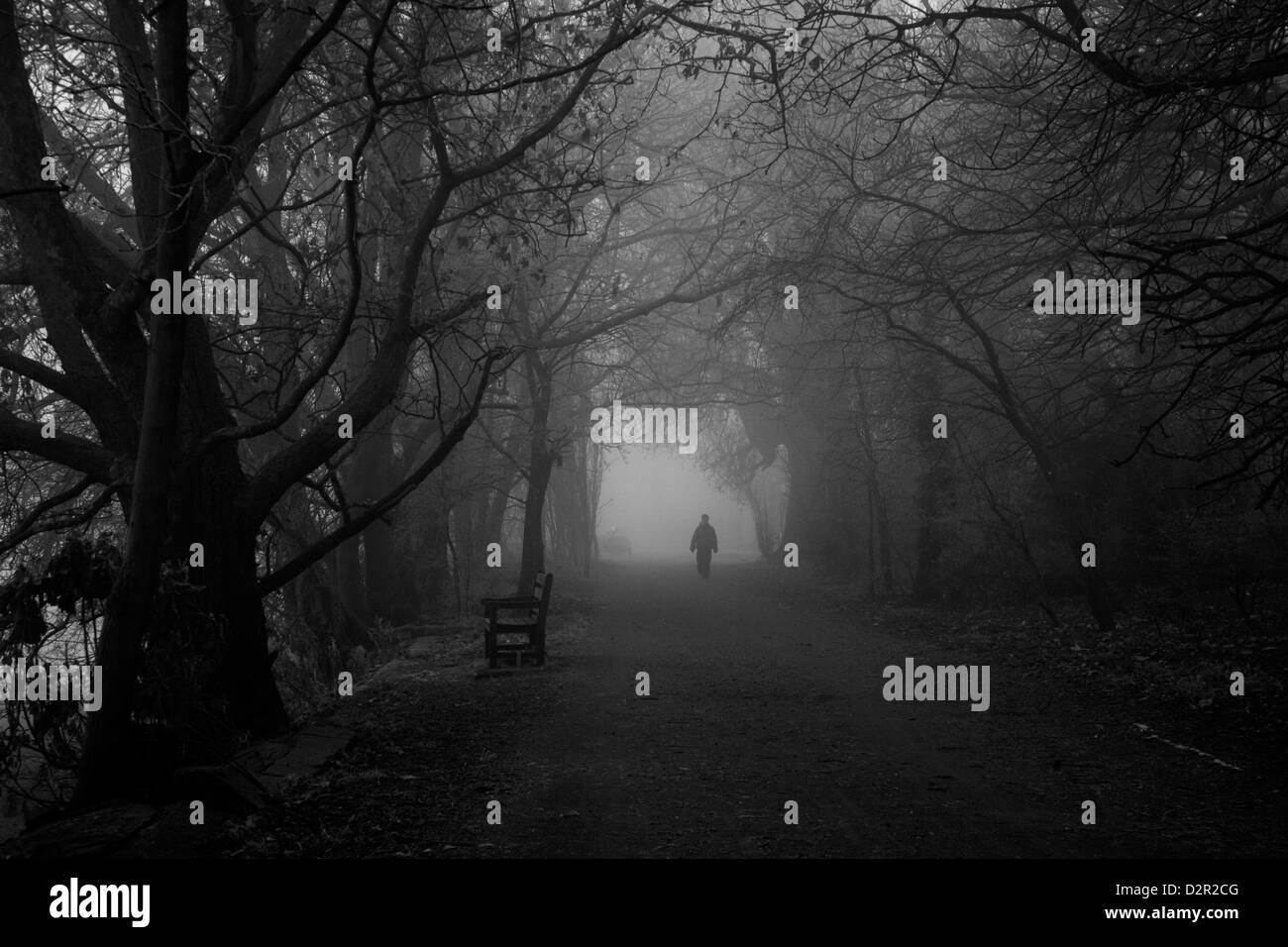 Fogbound Thames Path al granaio Olmi, Barnes, London, Regno Unito Foto Stock