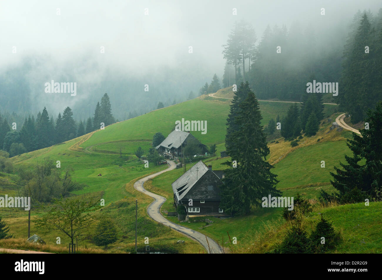 Agriturismi nella nebbia, Muchenland, Foresta Nera, Baden-Württemberg, Germania, Europa Foto Stock