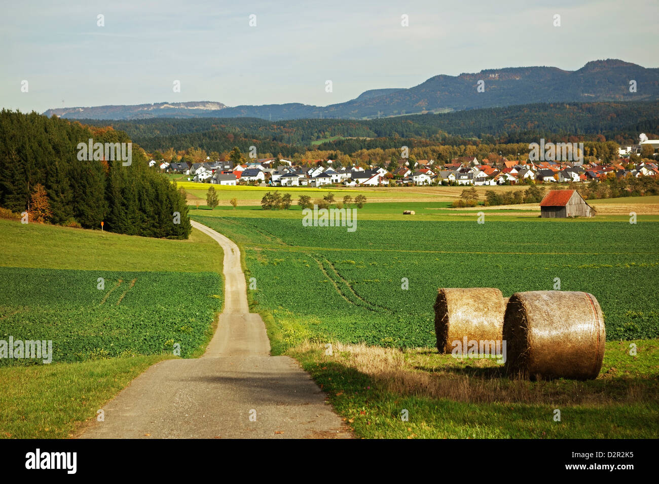 Autunno rurale scena con Lauffen Village, vicino Villingen-Schwenningen, Foresta Nera, Schwarzwald-Baar, Baden-Württemberg, Germania Foto Stock