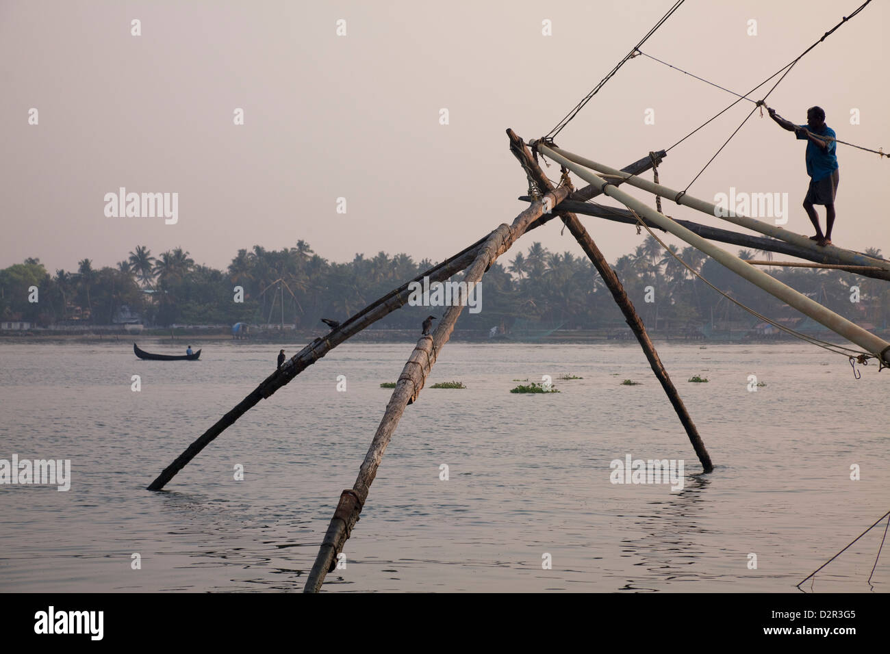 Pescatore per le reti da pesca cinesi sul lungomare a Kochi (Cochin), Kerala, India, Asia Foto Stock