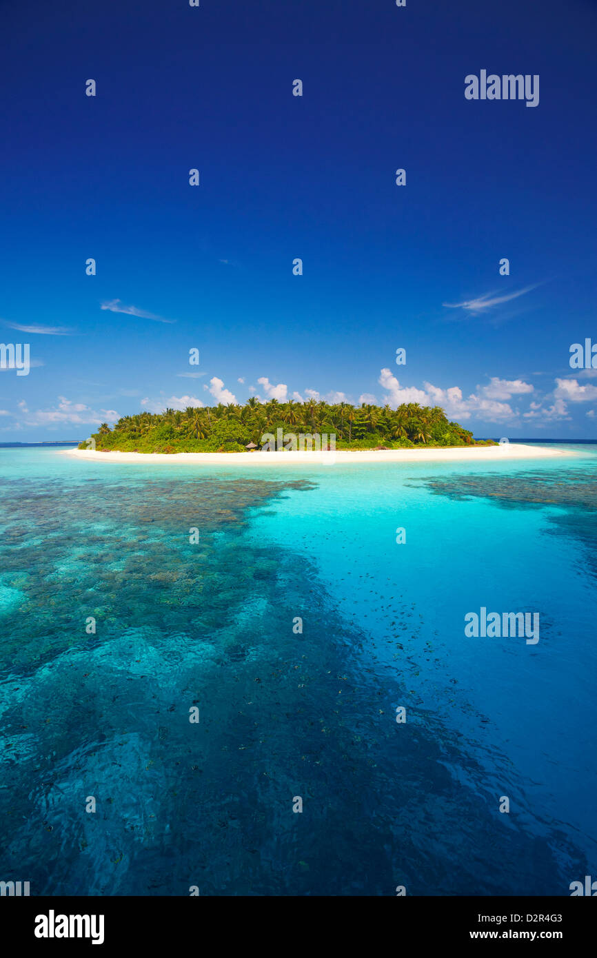 Isola tropicale e la laguna, Maldive, Oceano Indiano, Asia Foto Stock