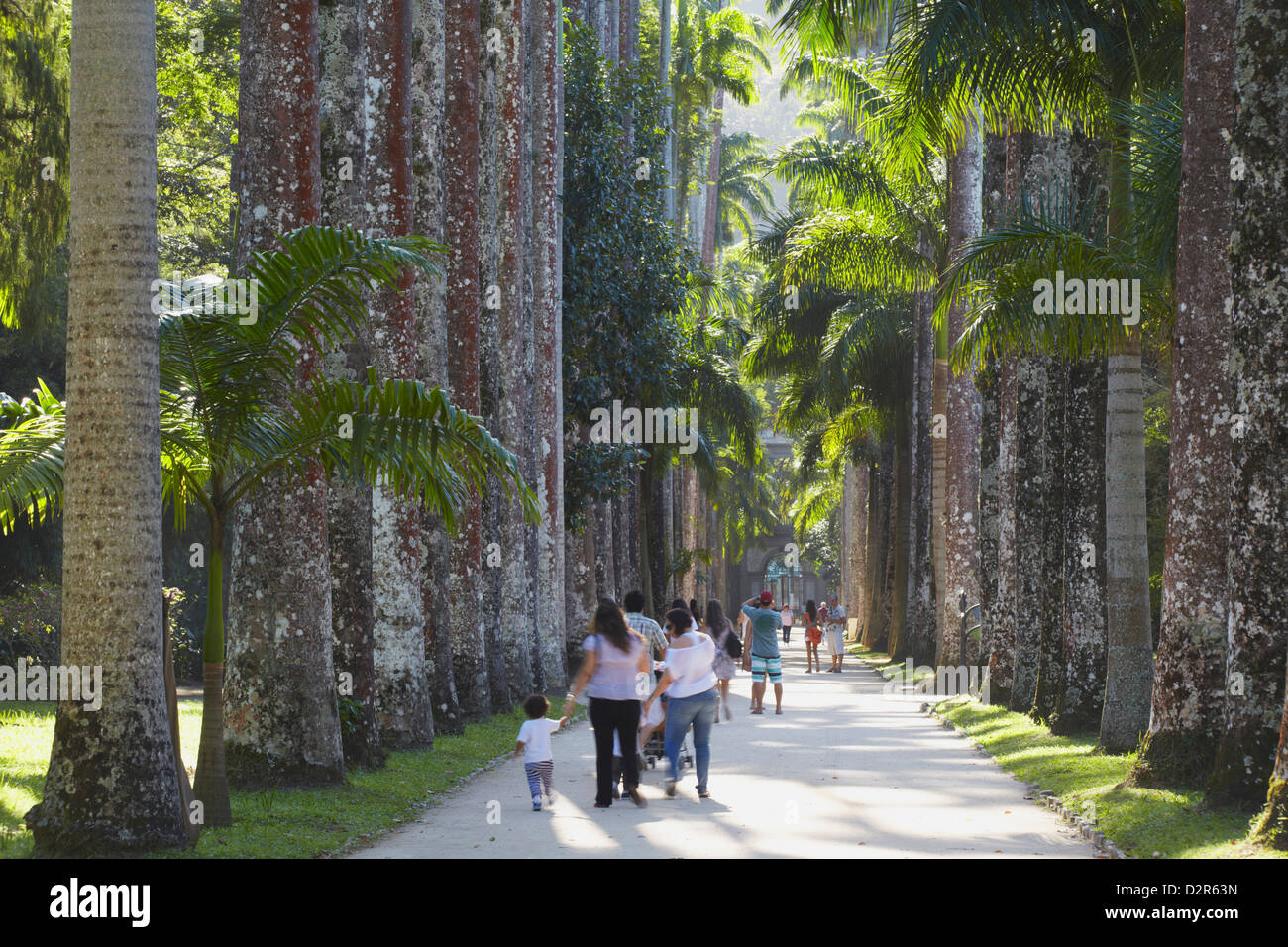 Persone presso i Giardini Botanici (Jardim Botanico), Rio de Janeiro, Brasile, Sud America Foto Stock