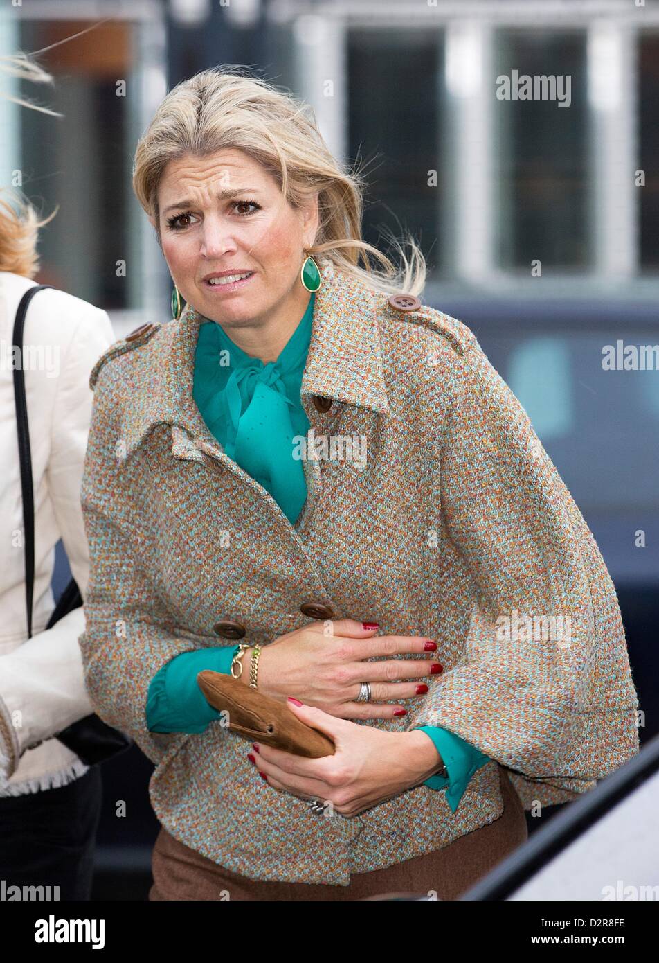 Arnhem, . Il 31 gennaio 2013. La principessa Maxima delle visite di un workshop del probation in Arnhem, , 31 gennaio 2013. Le persone con una comunità di servizio rifacimento di strumenti usati, con sono raccolti dalla fondazione Gered Gereedschap, per gli studenti di istruzione tecnica nei paesi in via di sviluppo. Foto: Patrick van Katwijk /dpa/Alamy Live News Foto Stock