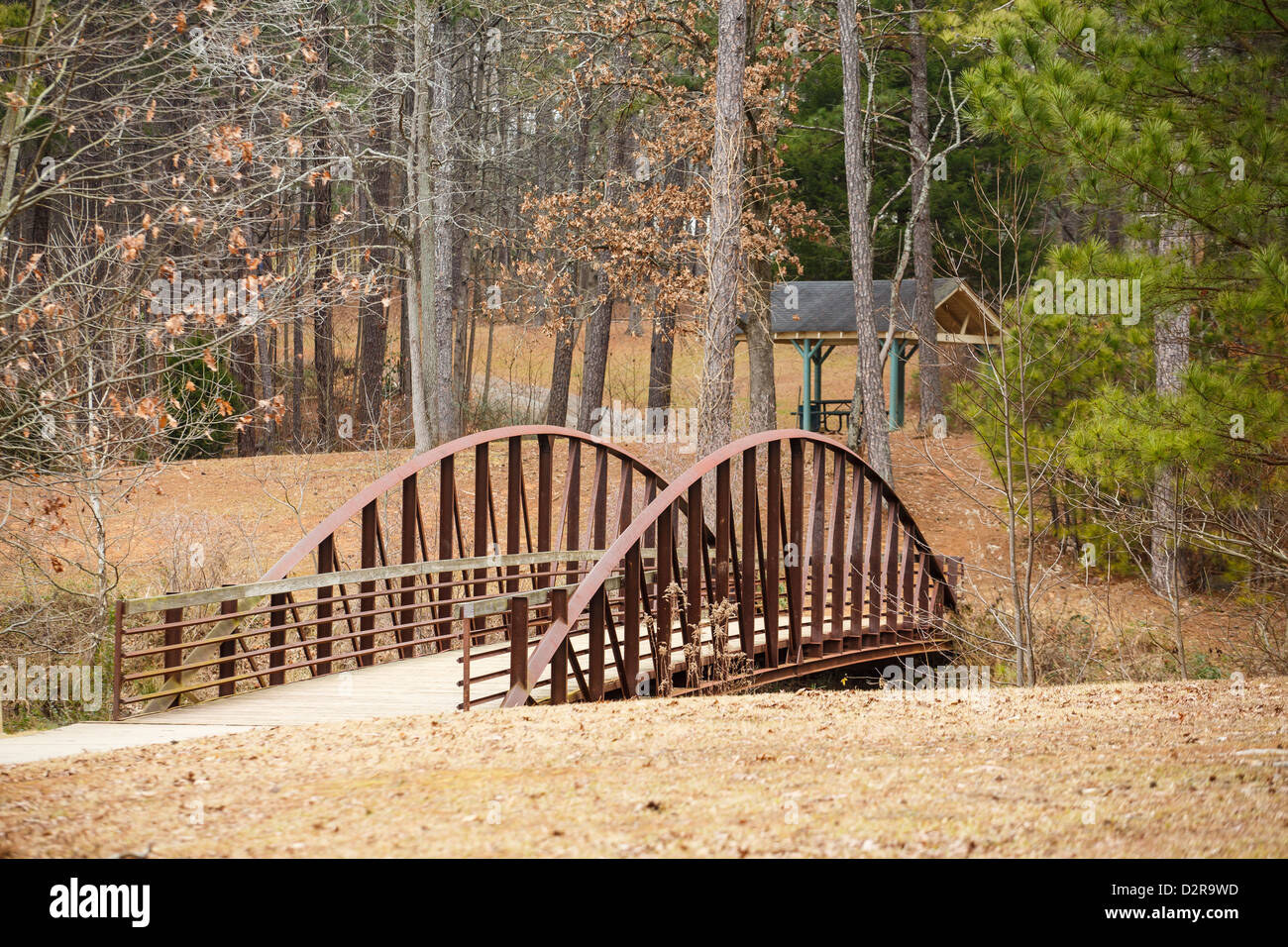 Vecchio acciaio arrugginito e ponte di legno in una foresta Foto Stock