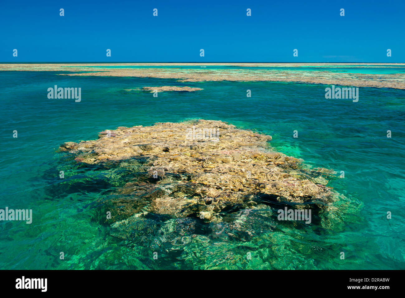 Antenna della Grande Barriera Corallina. UNESCO World Heritage Site, Queensland, Australia Pacific Foto Stock