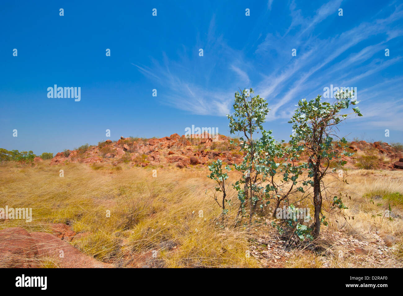 Kundjarra (i granelli) massi di granito, Territorio del Nord, l'Australia, il Pacifico Foto Stock