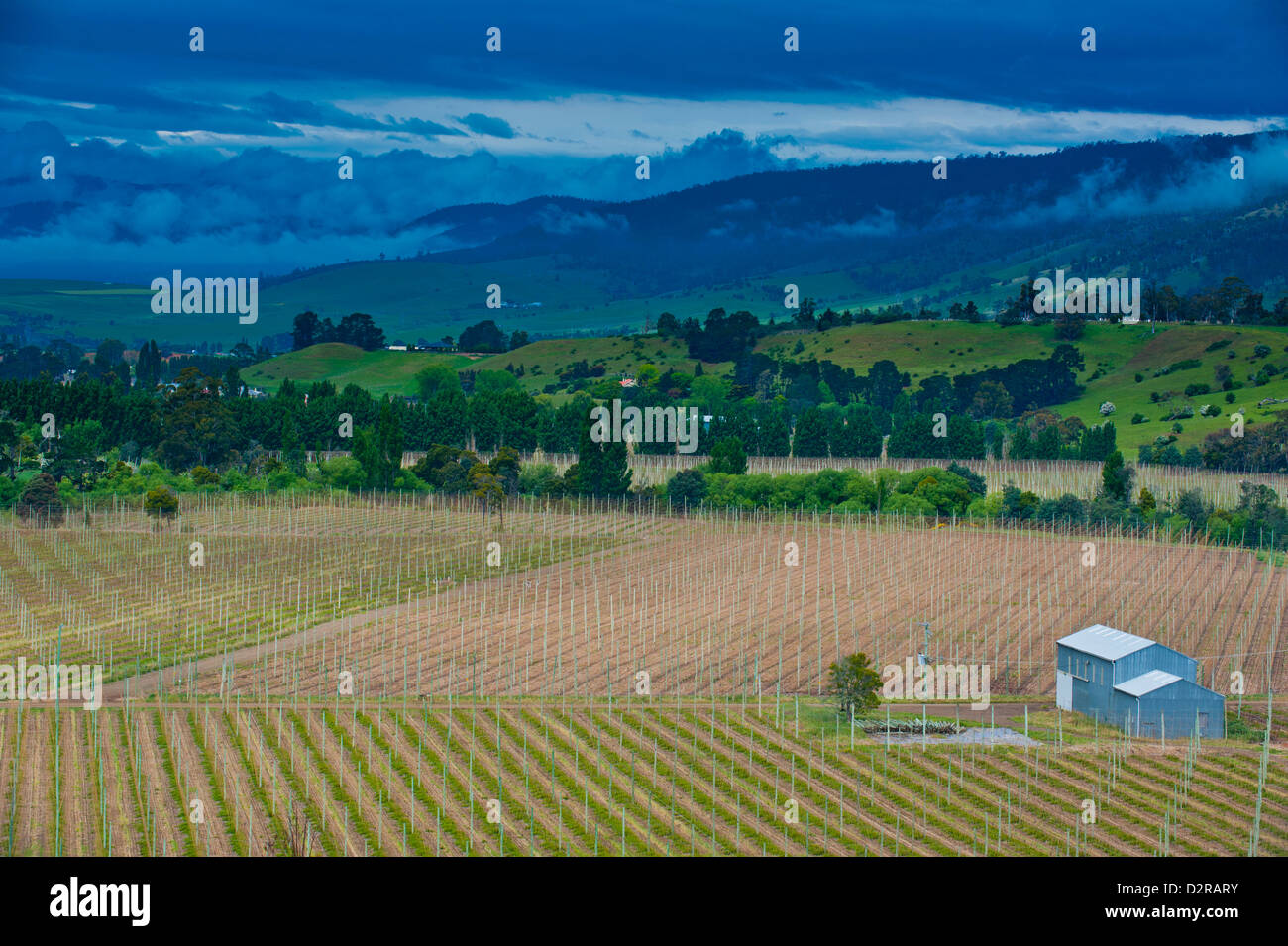 Piccola casa in un campo agricolo in Western Tasmania, Australia Pacific Foto Stock