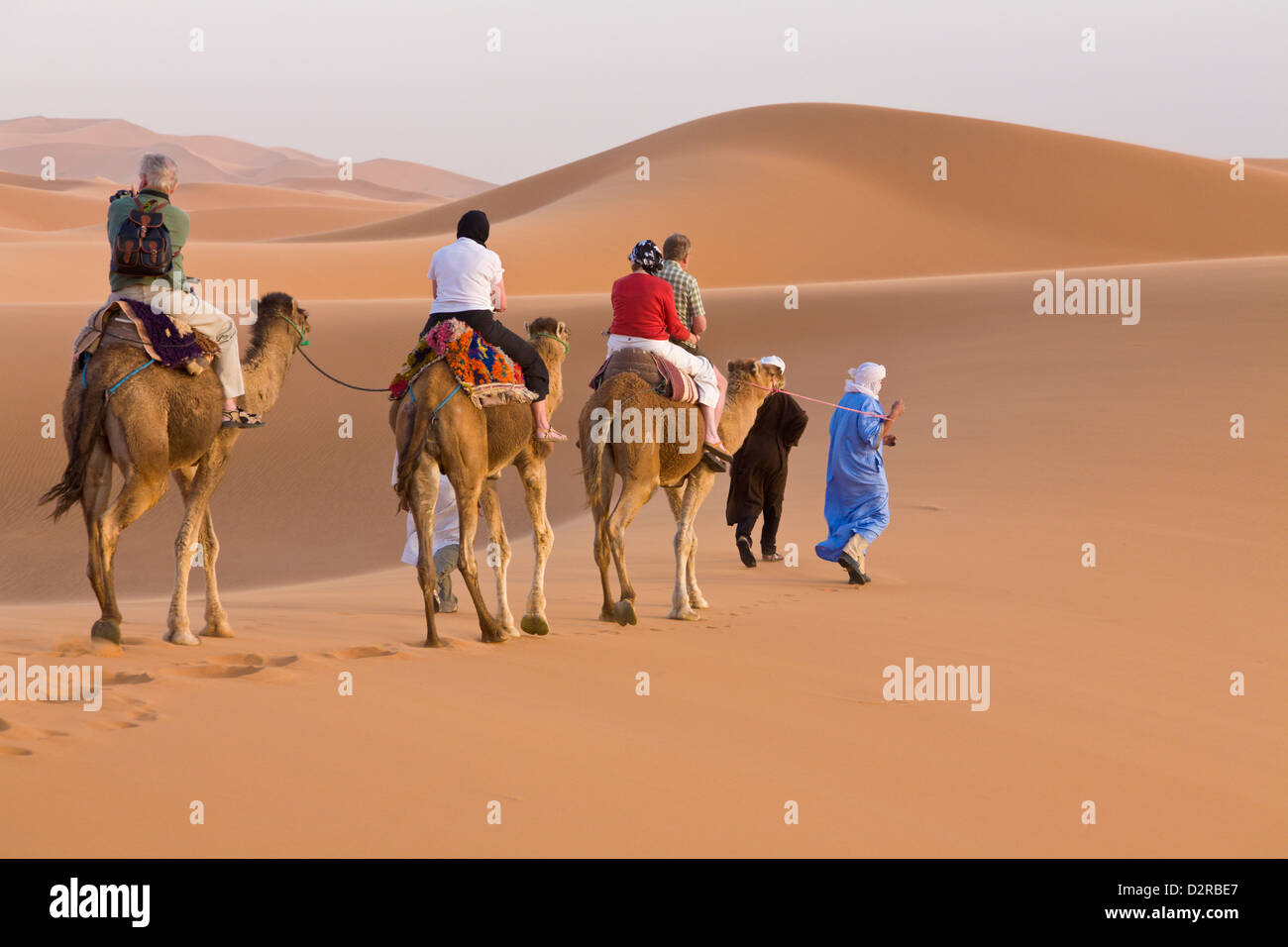 I turisti in una corsa in cammello dune di Merzouga Marocco Sahara Foto Stock