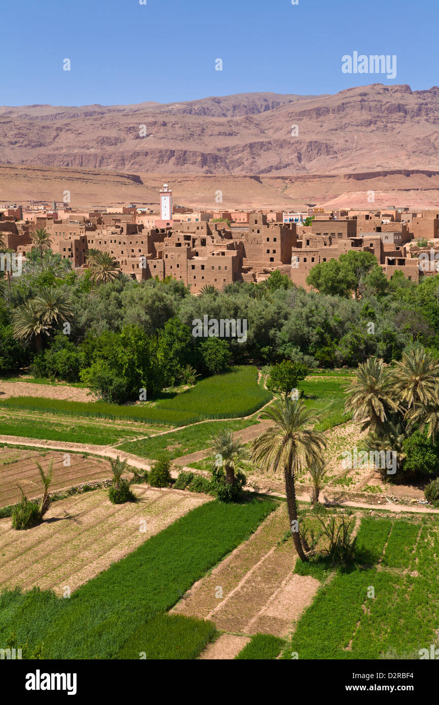 Villaggio di Tinerhir Dades Valle Alto Atlante Marocco Foto Stock