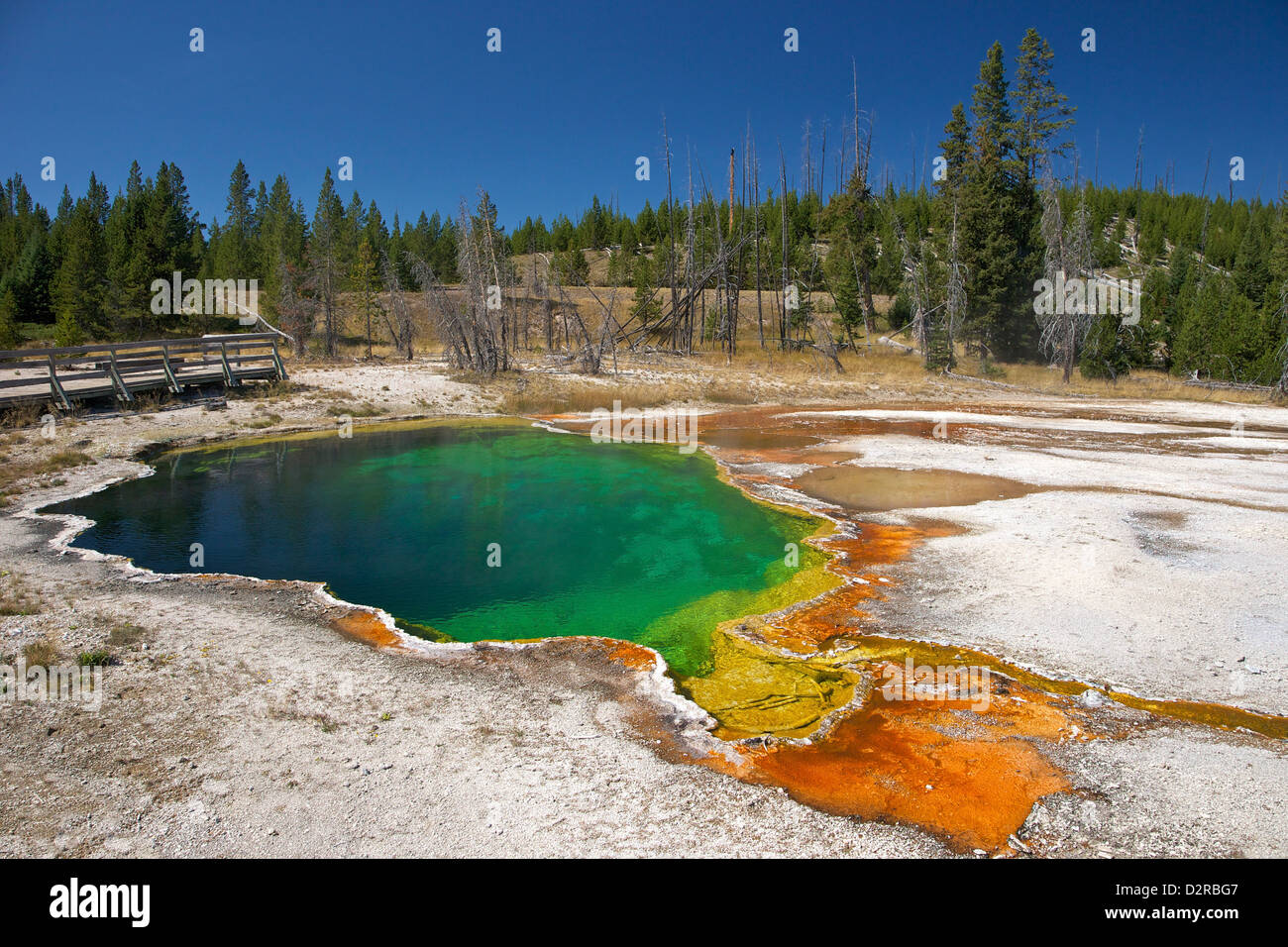 Abisso piscina, West Thumb Geyser Basin, il Parco Nazionale di Yellowstone, Wyoming USA Foto Stock