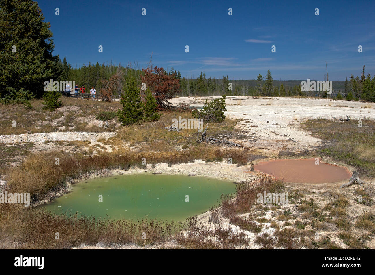 Pollice paint pots, West Thumb Geyser Basin, il Parco Nazionale di Yellowstone, Wyoming USA Foto Stock