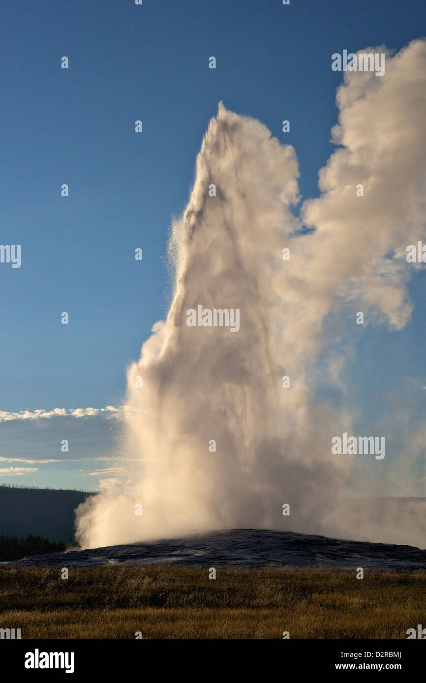 Geyser Old Faithful scoppierà, il Parco Nazionale di Yellowstone, Wyoming USA Foto Stock