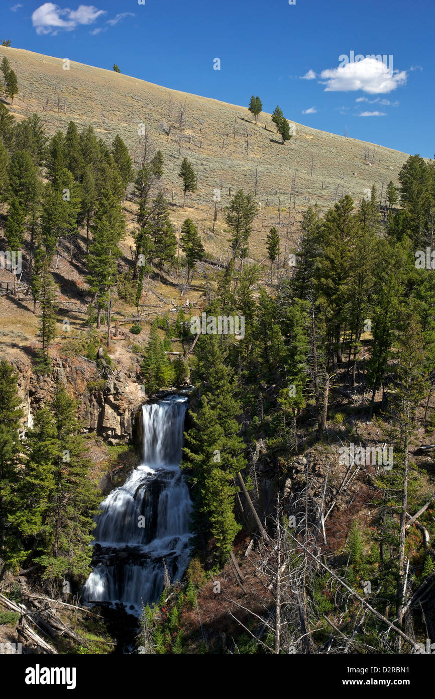 Undine Falls, nei pressi di Mammoth Hot Springs, il Parco Nazionale di Yellowstone, Wyoming USA Foto Stock