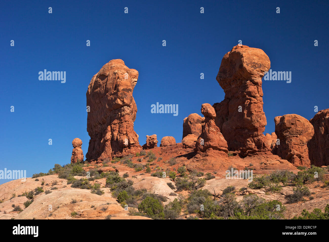 Giardino di Eden, Arches National Park, Moab, Utah, Stati Uniti d'America, America del Nord Foto Stock